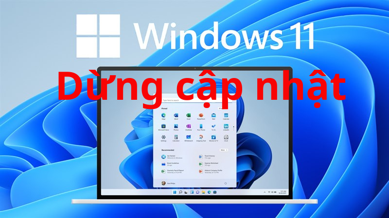Cách tắt và tạm dừng cập nhật Windows 11
